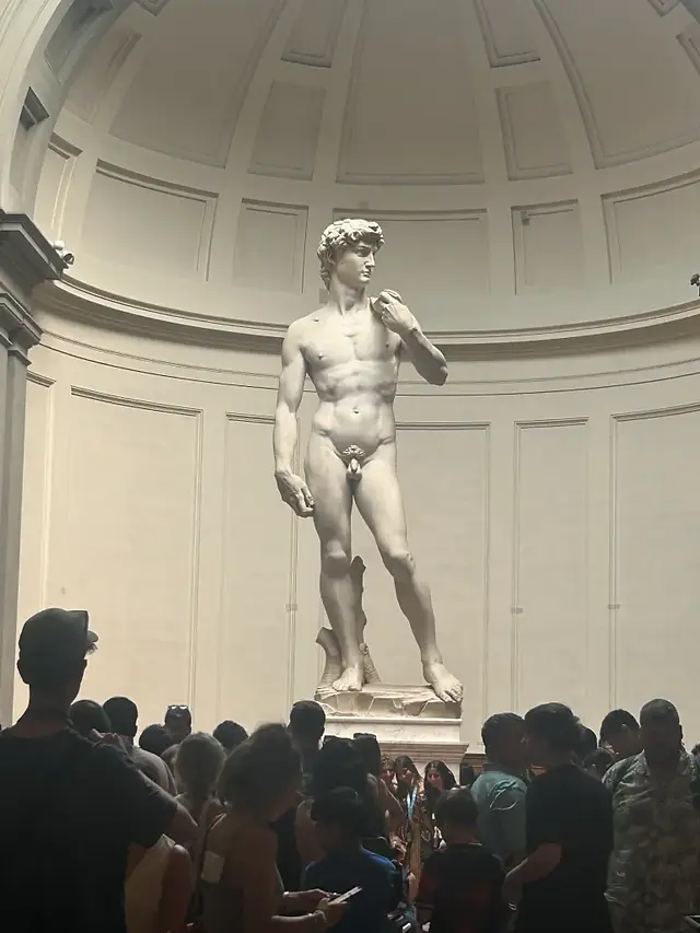 David