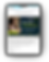 miamibusiness.png