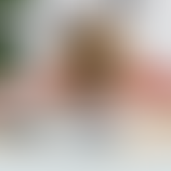 Burn out épuisement