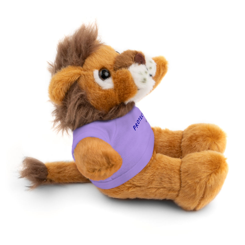Thumbnail: "Protected" Stuffed Animals with Tee