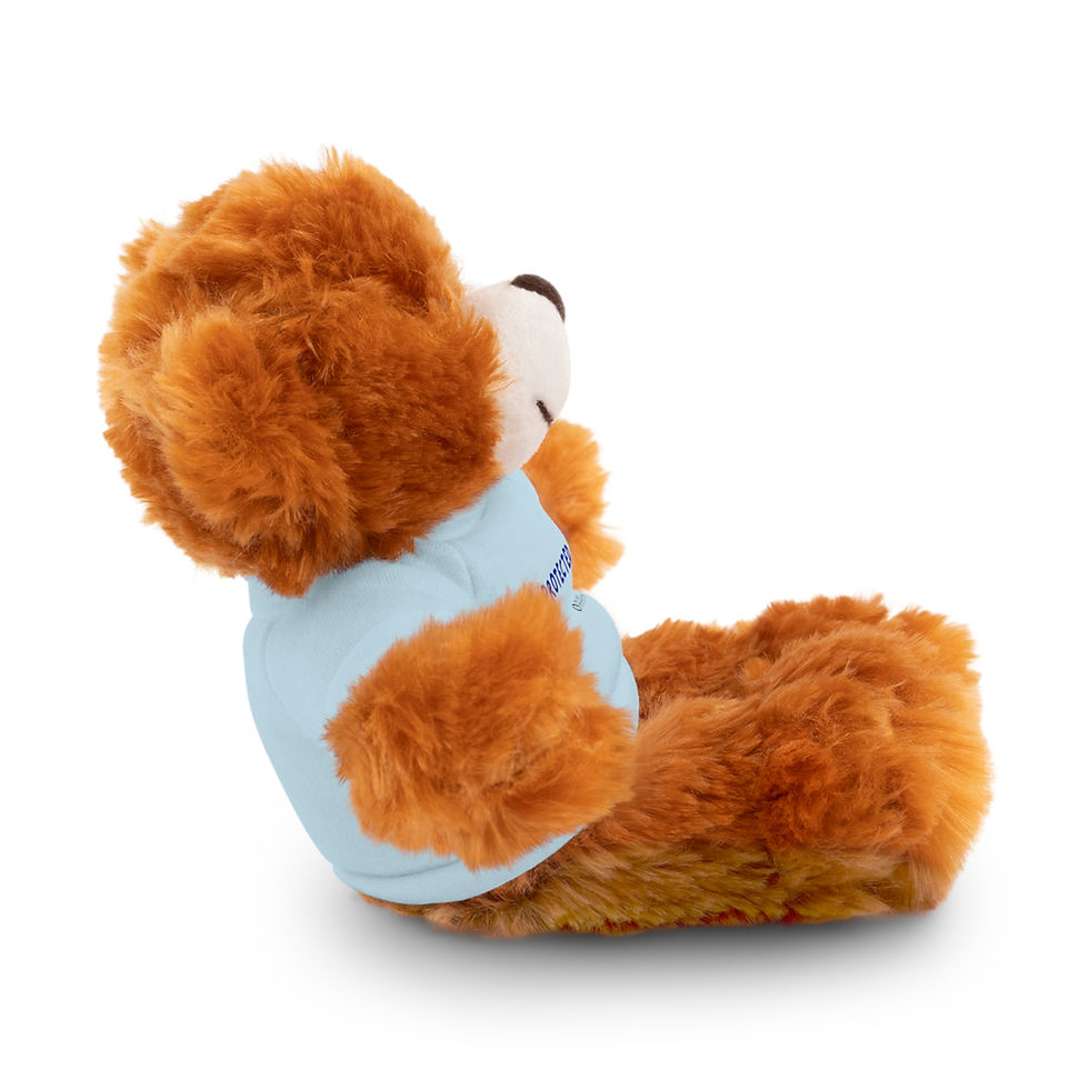 Thumbnail: "Protected" Stuffed Animals with Tee