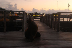 Galapagos Islands, Ecuador