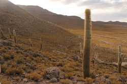 Uyuni Salt Flat, Bolivia