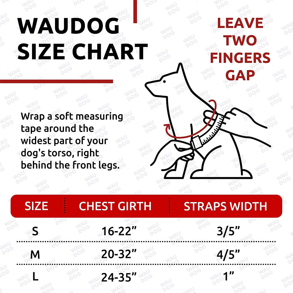 Miniatura: Red Waterproof Dog Harness Adjustable for Small Dogs S Size 1622 inch