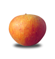 Lepepinvoyageur_pommes_Suntan.png