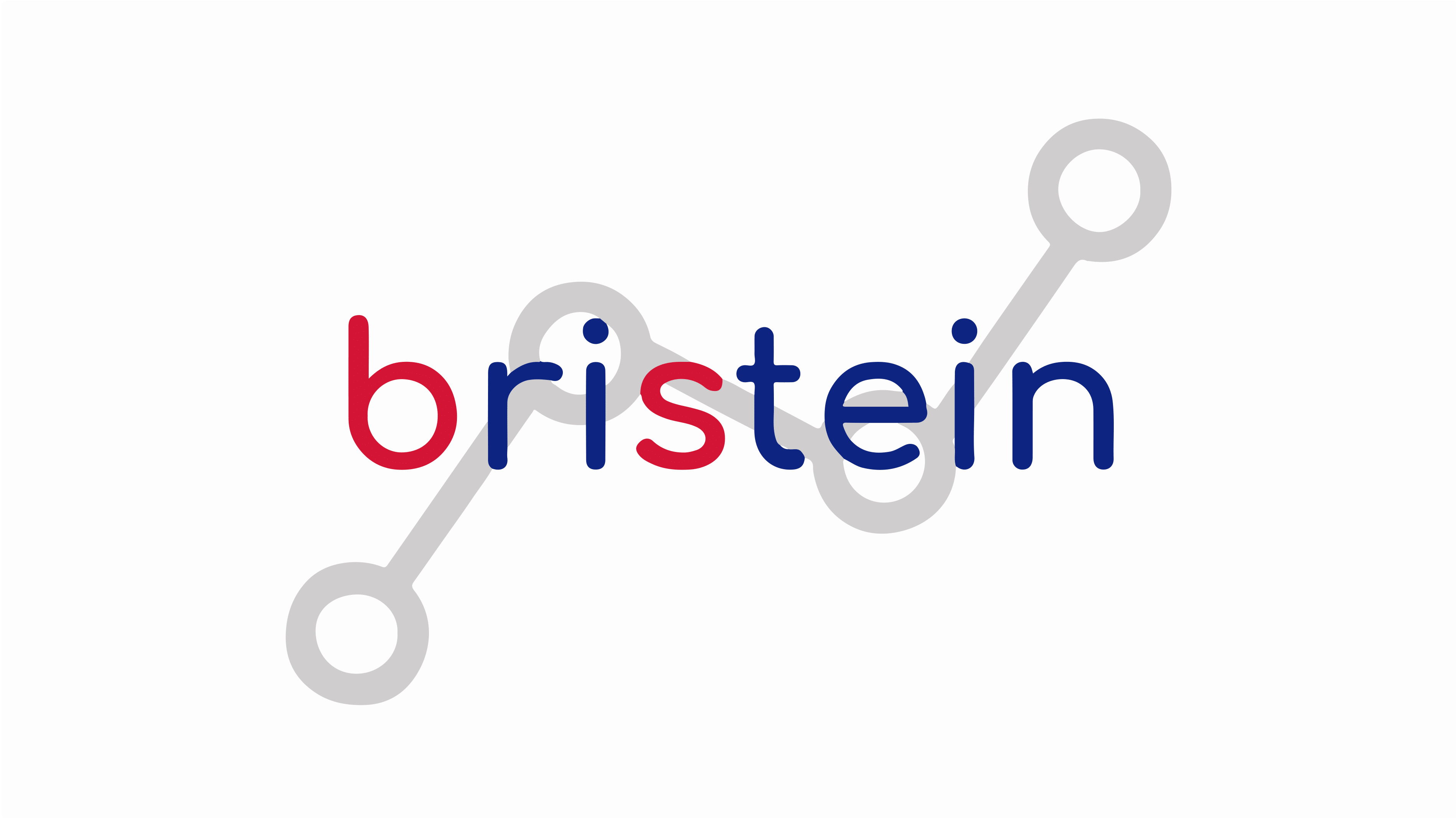 Bristein Consultoria Tecnica e Comercial