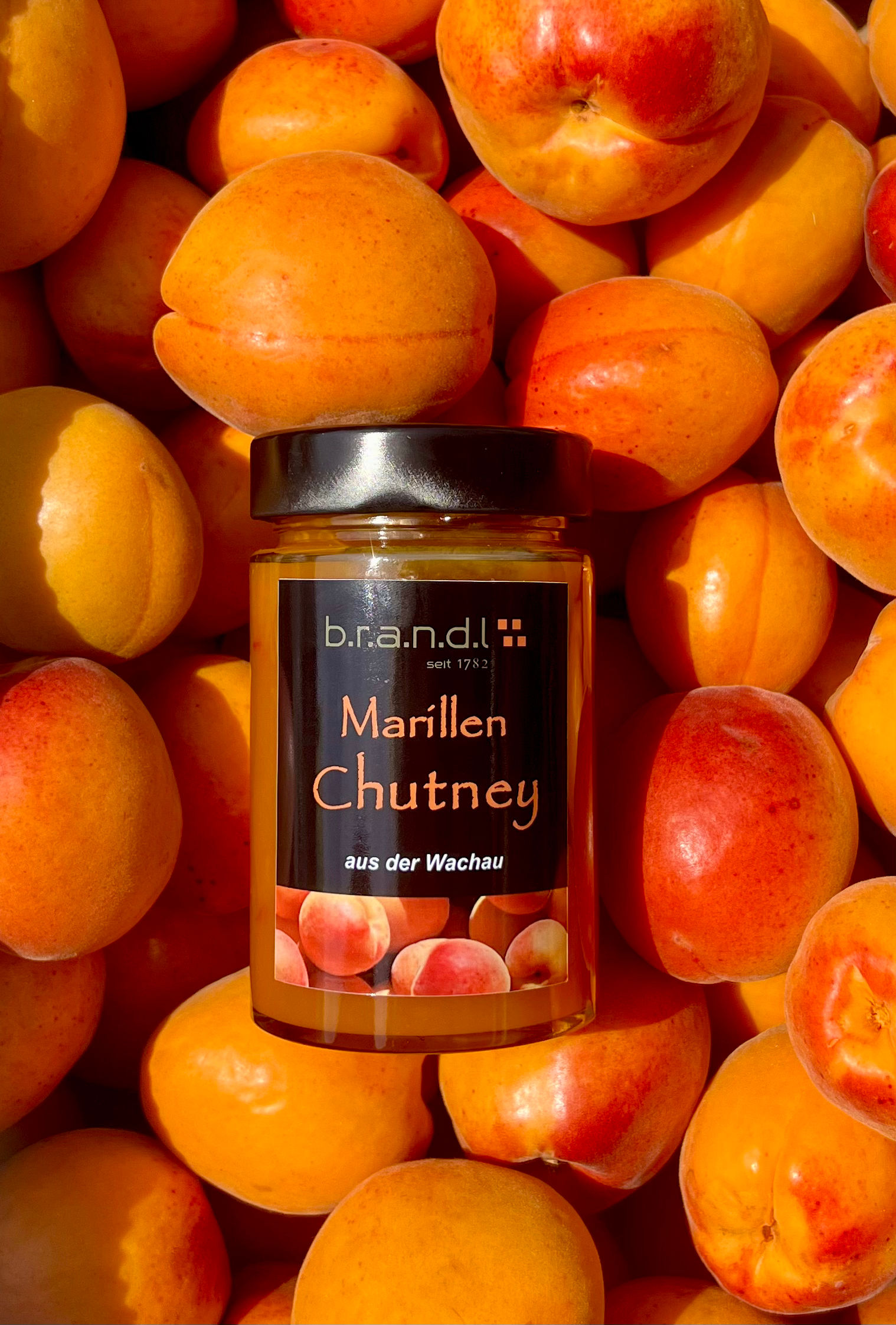 Wachauer Marillenchutney | 220g