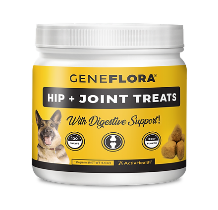 geneflora for dogs