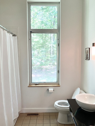 Bathroom with tub shower