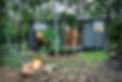 Curlew - outside front on view - 3MB.jpg