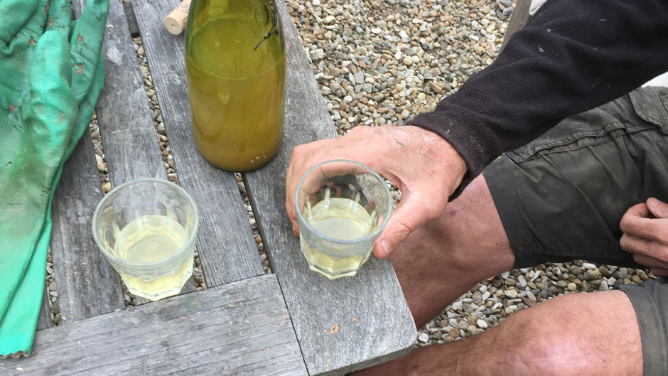 2018 Harvest, tasting session