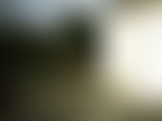 First stages - walls coming down!