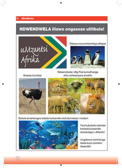 1408_Answer_Book_Gr3_Xhosa_PRINT_2602_Page_32