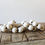 Thumbnail: Egg/Napkin Ring
