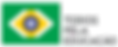 Todos Pela Educação.png