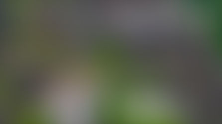 北海道廃墟ドローン空撮旅行11ヶ所目