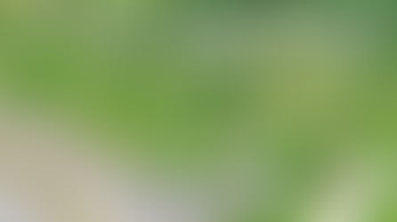 北海道廃墟ドローン空撮旅行4ヶ所目