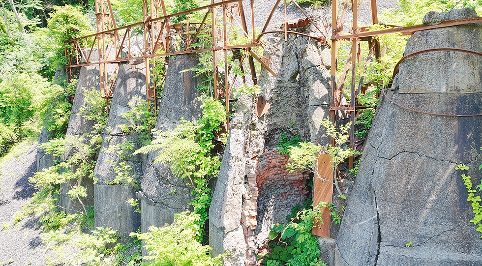 中外写真.png
