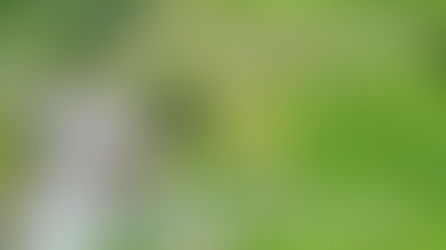 北海道廃墟ドローン空撮旅行19ヶ所目