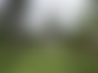 Comunidades ribeirinhas em Porto Velho - RO (Fomento, CNPQ, MackPesquisa)