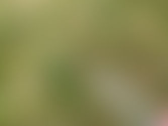 Pierres Fines : L'Élégance Abordable – Grenat, Opale, Tourmaline, Péridot, Améthyste... Trouvez Votre Coup de Cœur Chez Nous !
