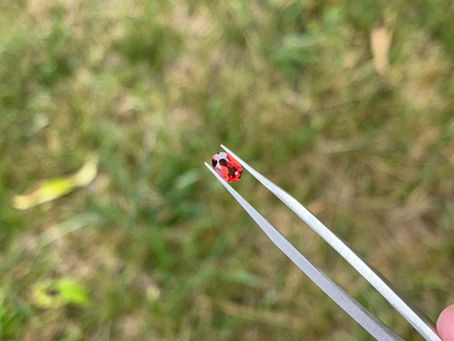 Pierres Fines : L'Élégance Abordable – Grenat, Opale, Tourmaline, Péridot, Améthyste... Trouvez Votre Coup de Cœur Chez Nous !