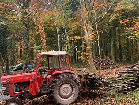 Sustainable Woodland Management: Preparing the Logs for Our 2022 Season
