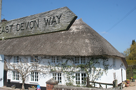 East Devon Way at Exe Valley Glamping