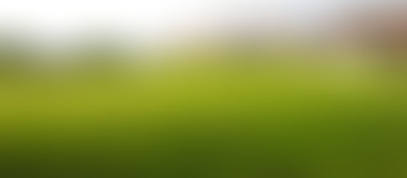 The Process of Extrajudicial Settlement of Estate in the Philippines