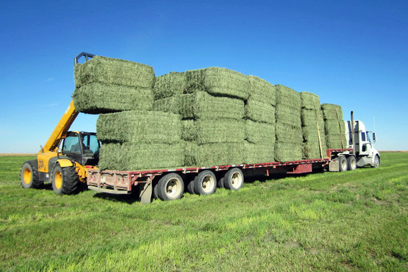 hay-truck