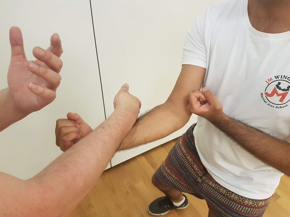 Wing Chun Hyun Sau