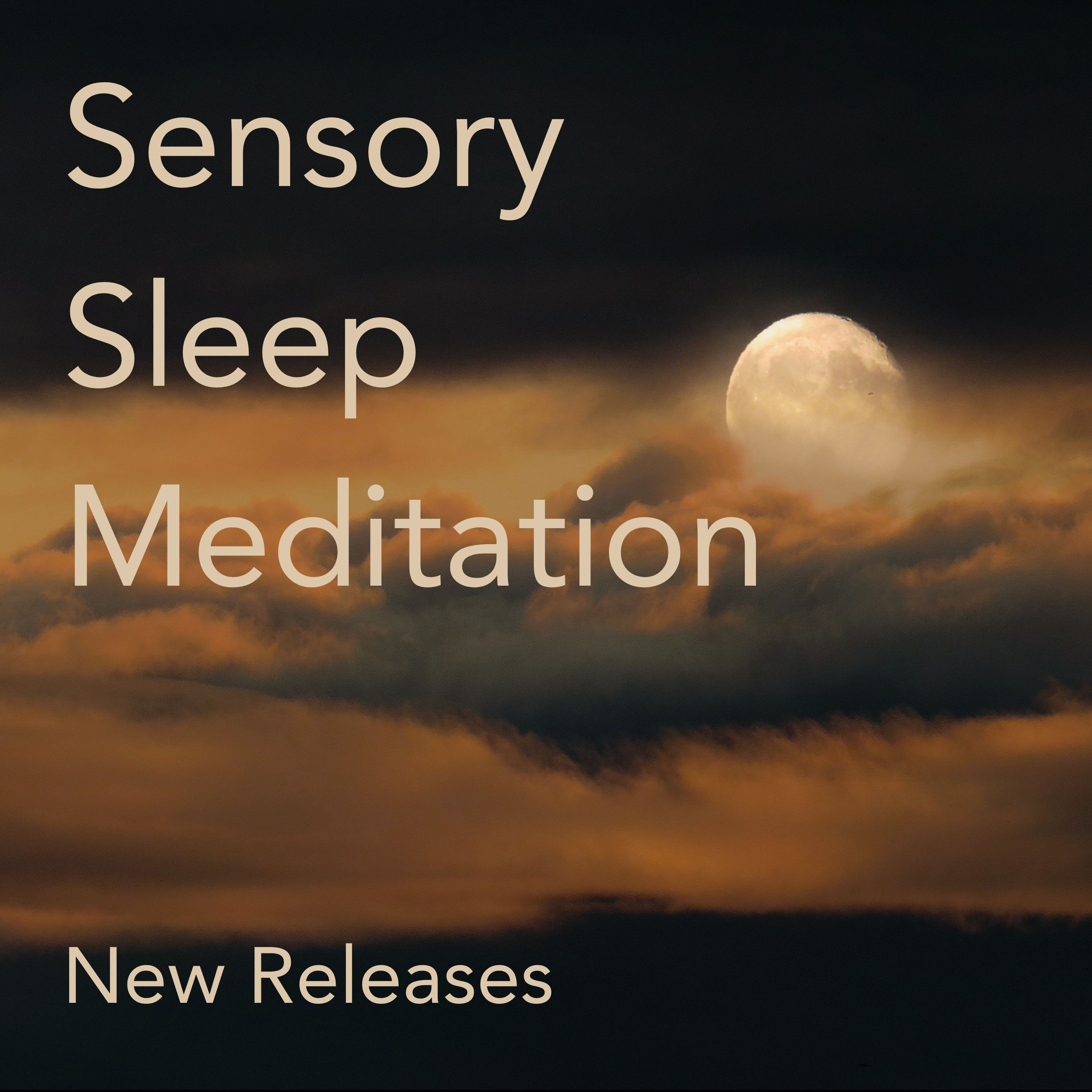 Sensory Sleep Meditation with Andrew Johnson, Relax Change Create