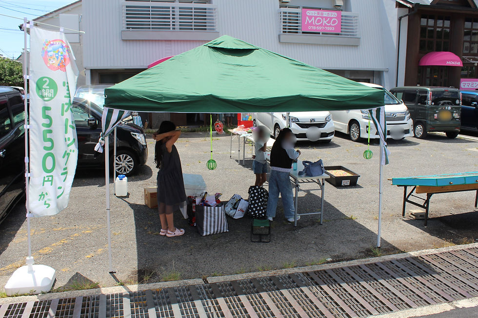 IMG_37771.JPG