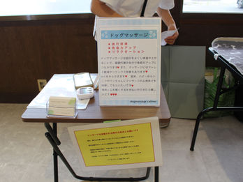 ドッグマッサージ画像