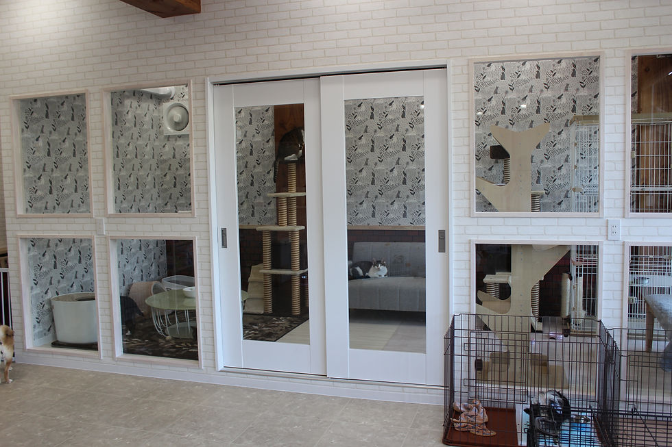 ネコチャンルーム