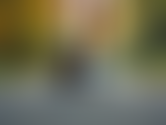 Half Marathon Schedule: Training Plans for Every Runner