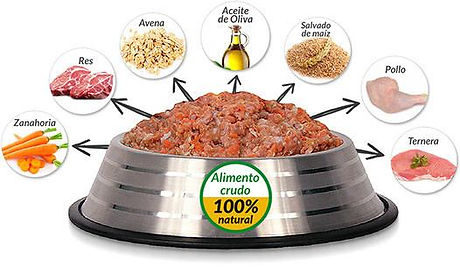 dieta_barf_ultima_540x (1).jpg