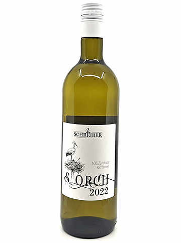 2022_Storch_edited.jpg