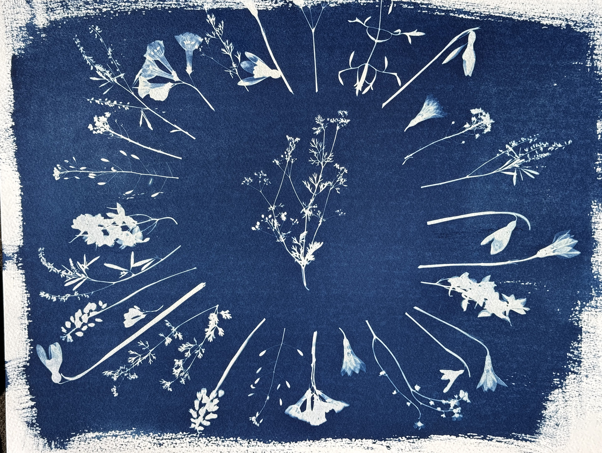 Woman with artichoke.jpg