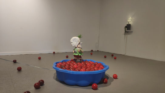 Harvest, installation view, photo Iris Barnea, 2020 (4).jpg