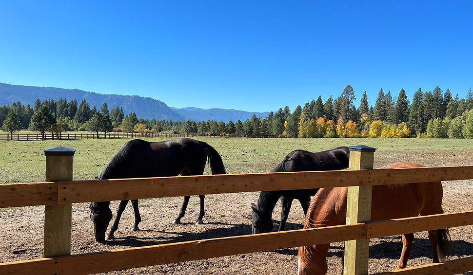 We have a beautiful space for you and your horses.