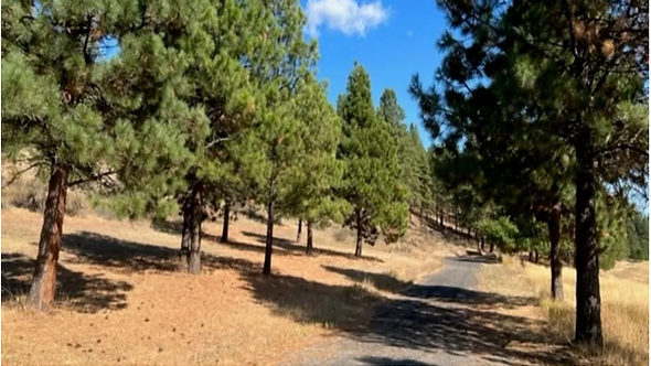 A quiet oasis to enjoy the outdoors on your trail rides.