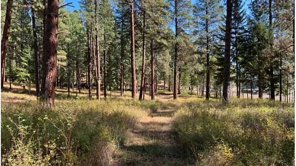 Pastures on location at Shadow Ranch Cle Elum
