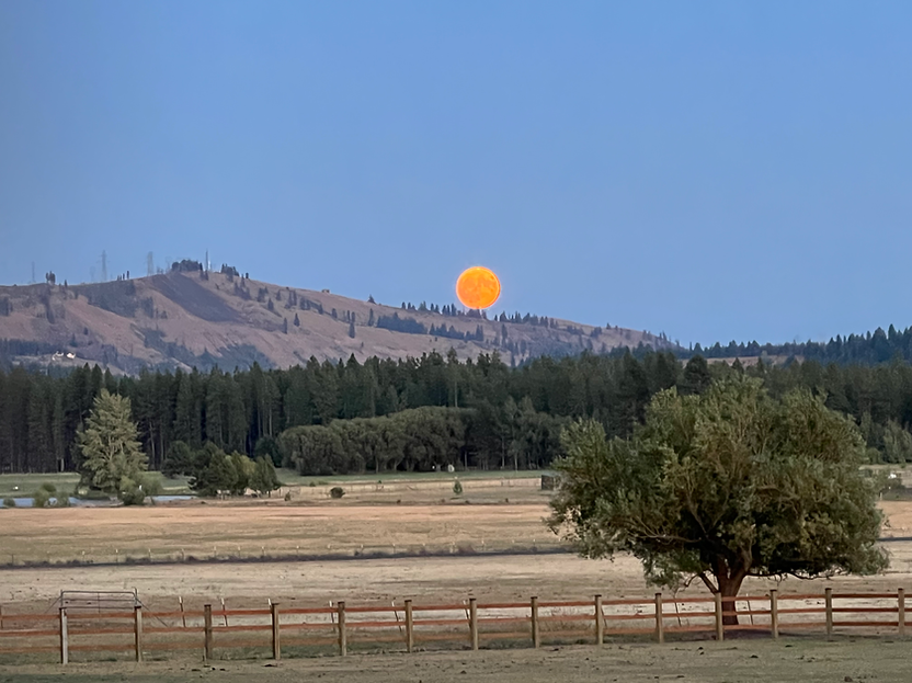 moon rising over the evening mountains.