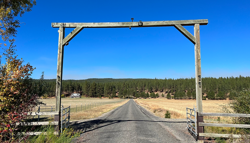 Welcome to Shadow Ranch!