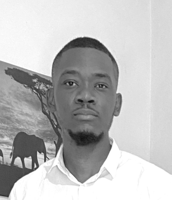 Stratège marketing pour les orthodontistes.