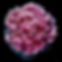 PMagenta retouched with signature.jpg