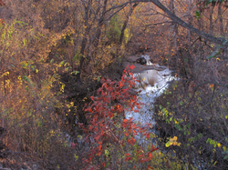 Colorful Fall Creek