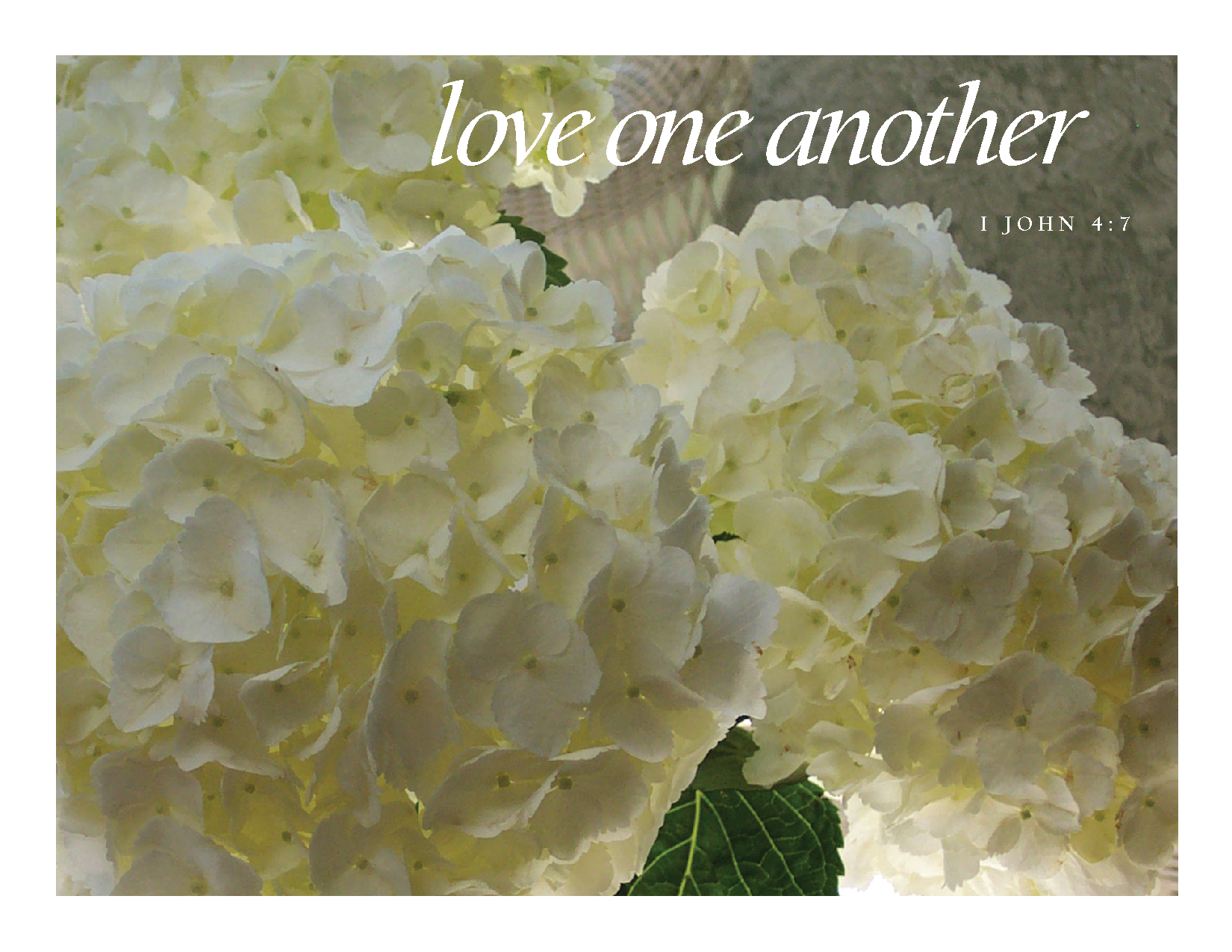 Love One Another