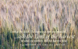 2024 WTS-Lord of the Harvest7_edited